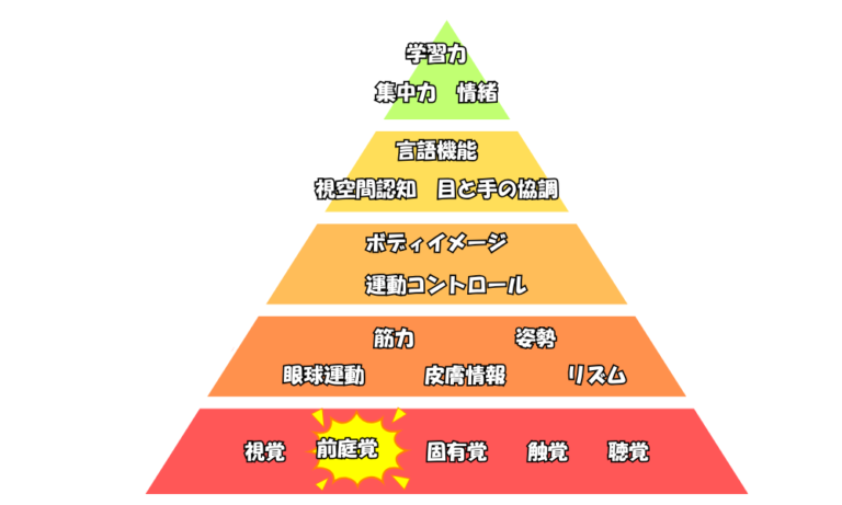 前庭覚とは？敏感・鈍感の特徴と家庭でできる遊び3選【作業療法士解説】 | こどもあそびLABO